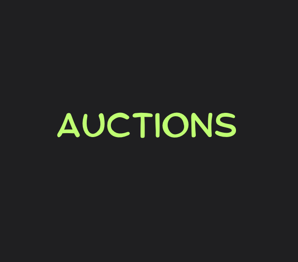 Auctions